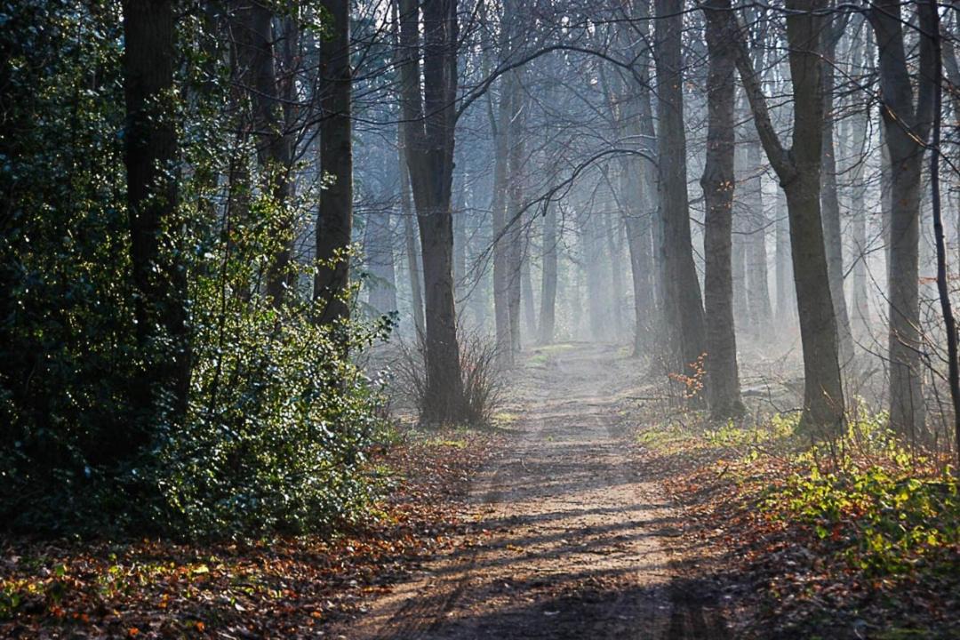 Photo of Others in East Lothian