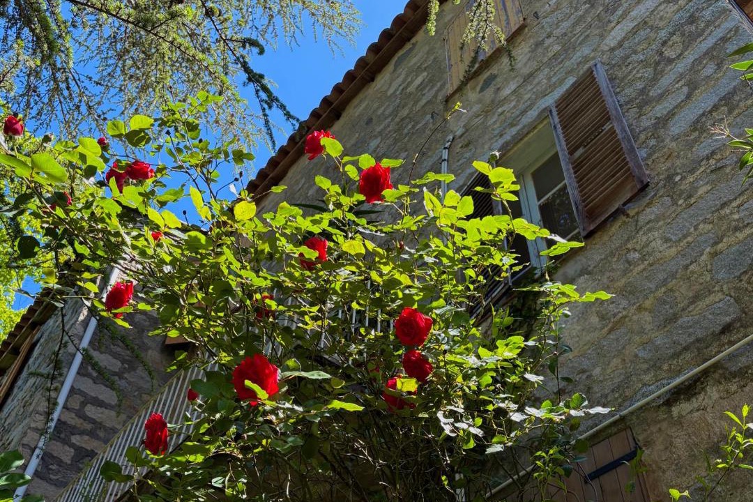 Photo of Others in Ucciani