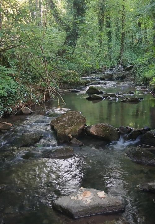 Photo of Others in Saint-Maurice-les-Couches
