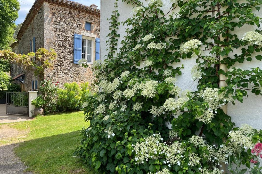 Photo of Others in Soturac