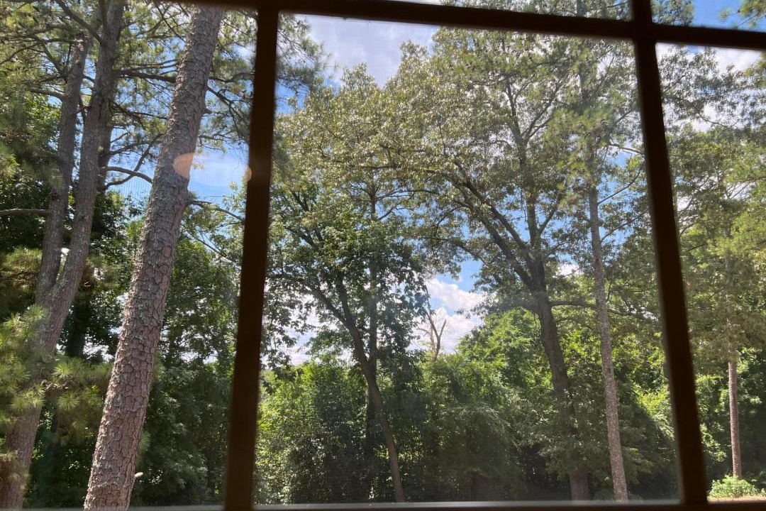 Photo of Others in Atlanta