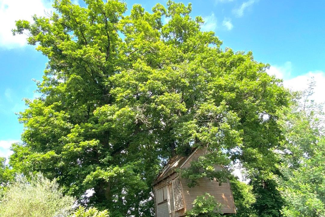 Photo of Others in Villebon-sur-Yvette