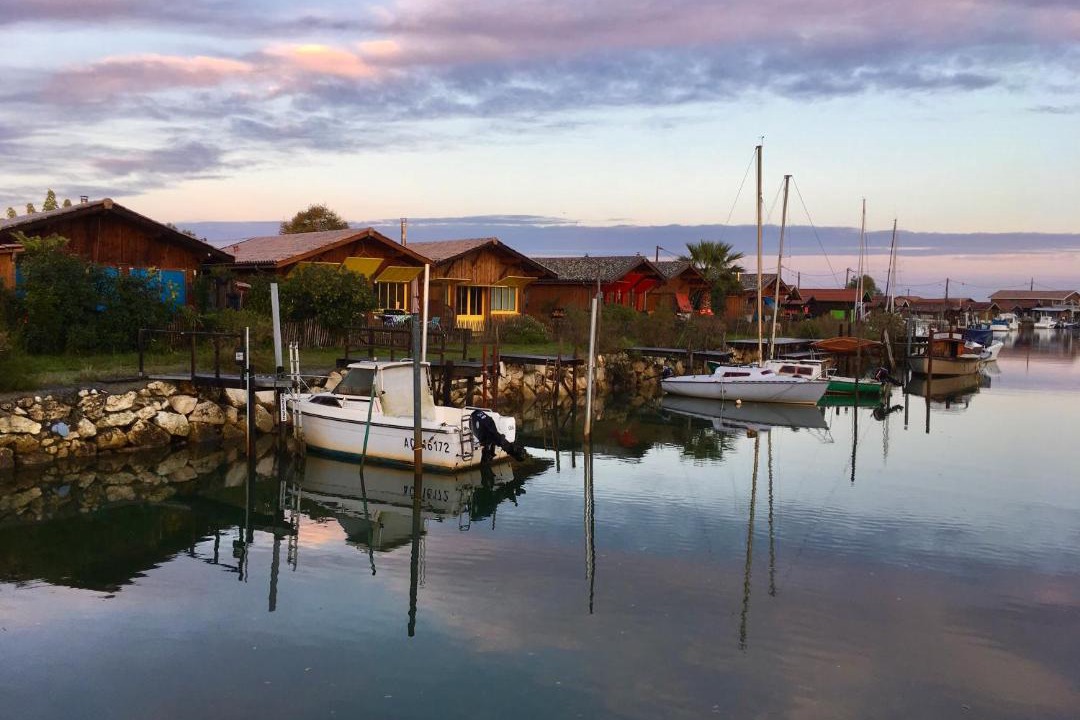 Photo of Others in Gujan-Mestras