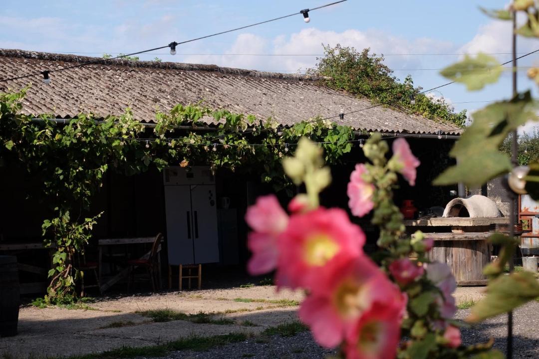 Photo of Others in Waterlooville