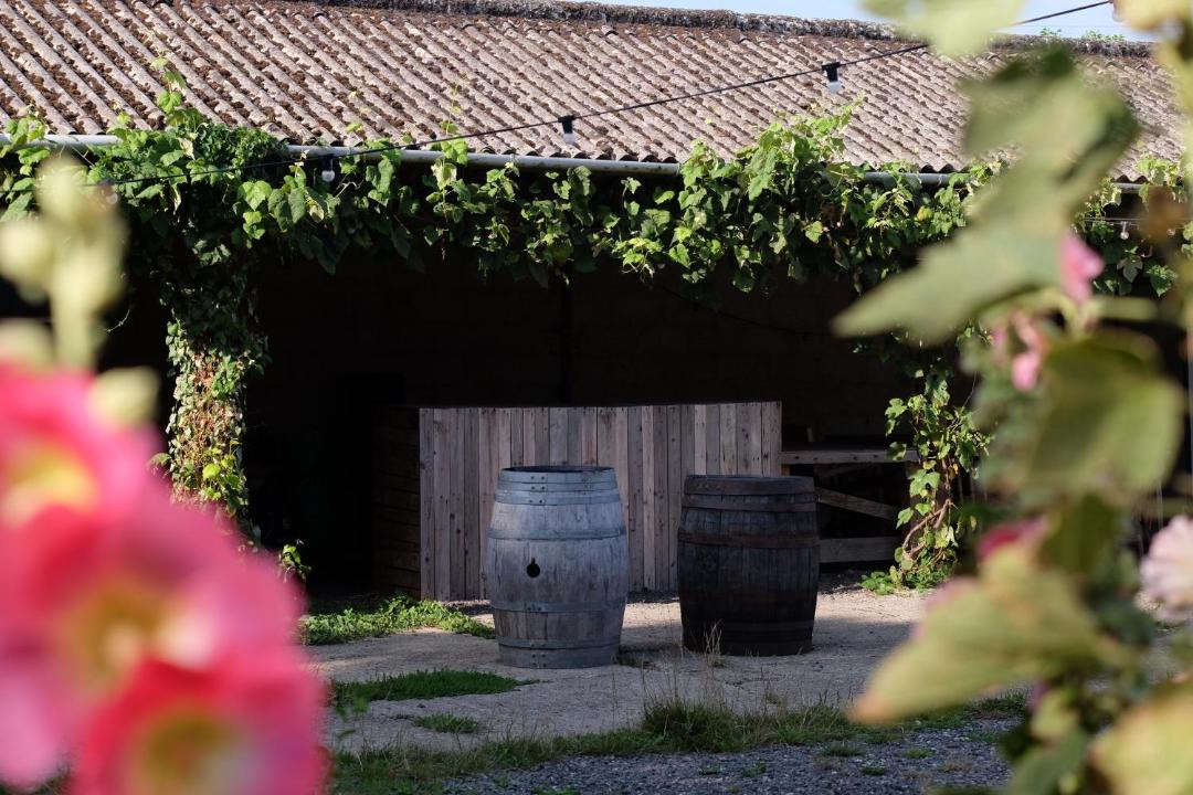 Photo of Others in Waterlooville