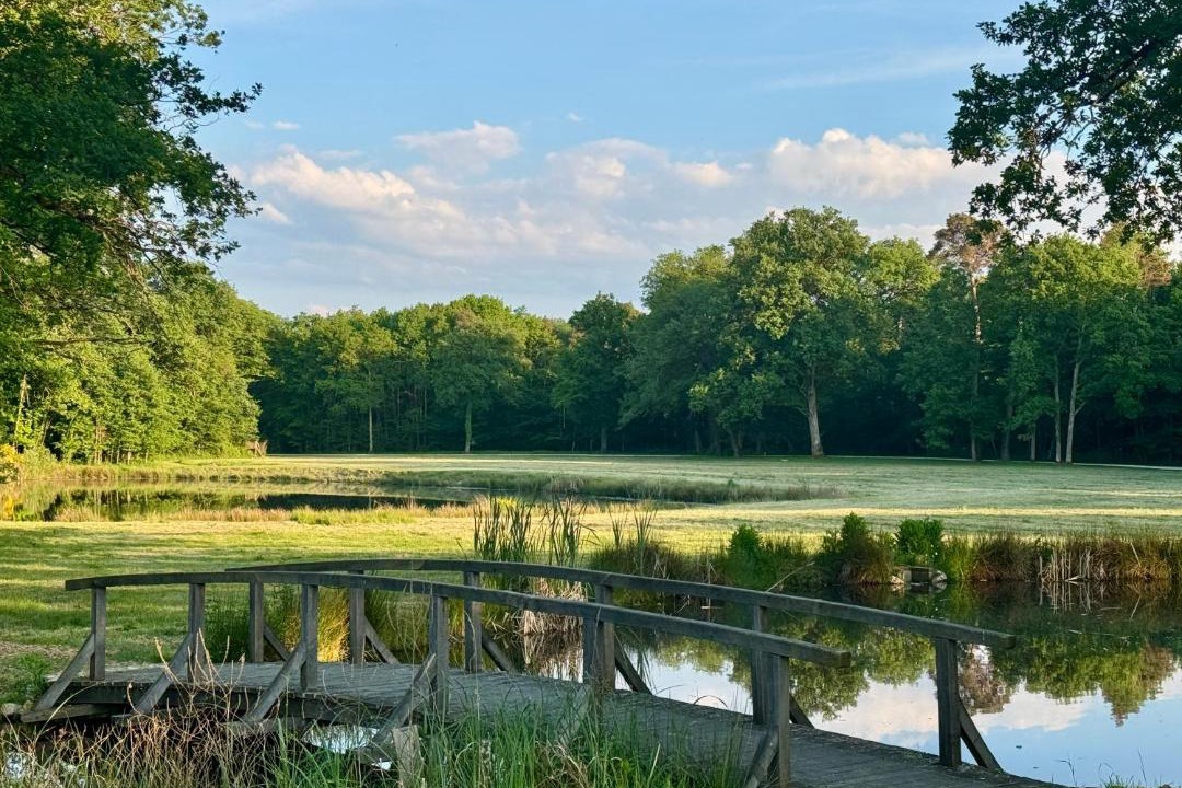 Photo of Others in Fontaines-en-Sologne