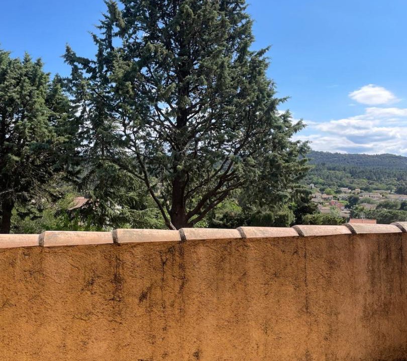 Photo of Others in Palaja