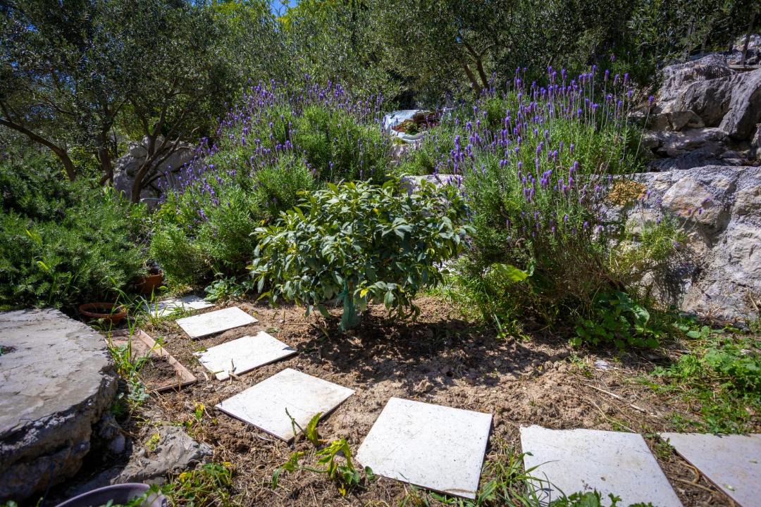 Photo of Outdoor in Ploce