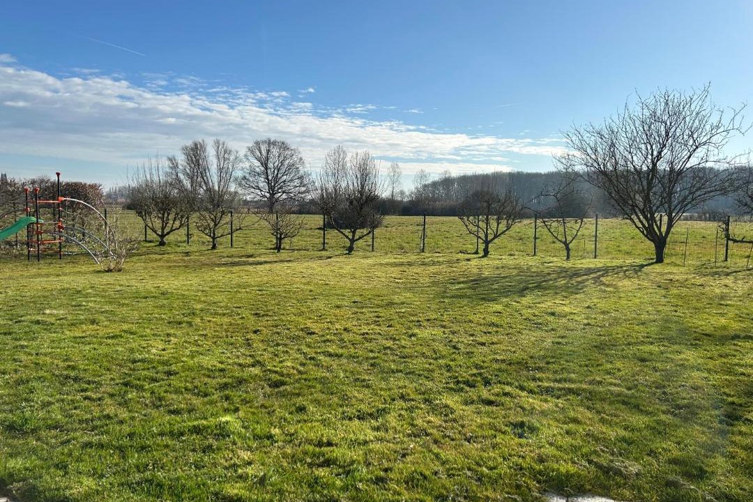 Photo of Others in Merris