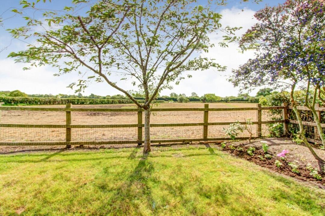 Photo of Others in Hoole