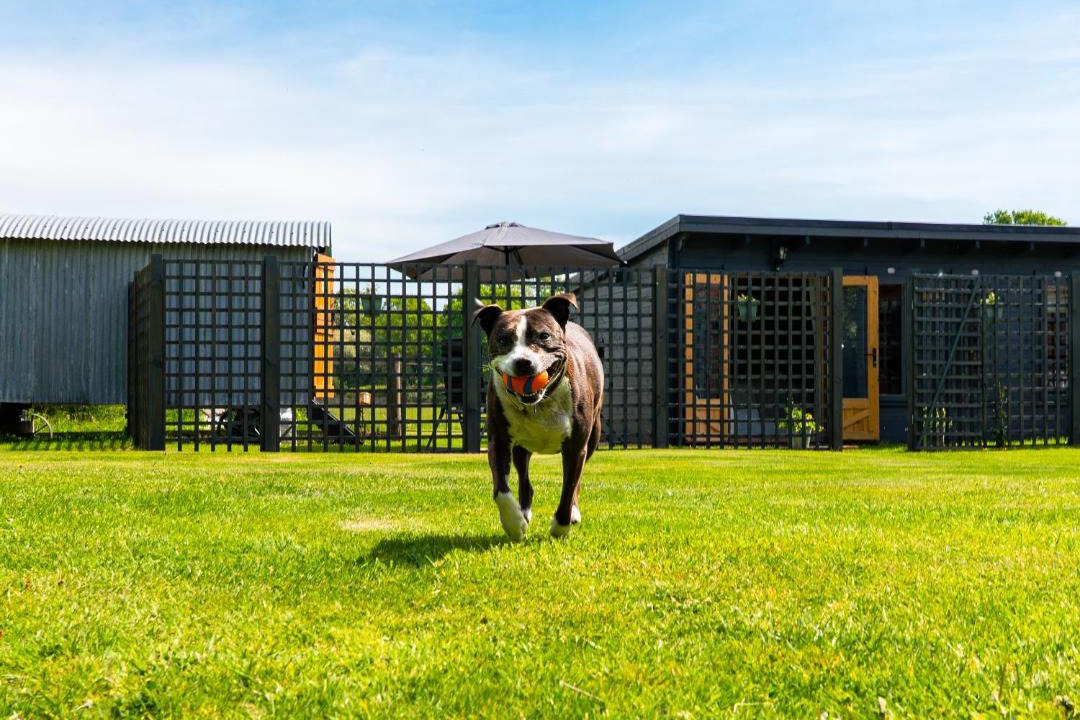 Photo of Others in Stuckton