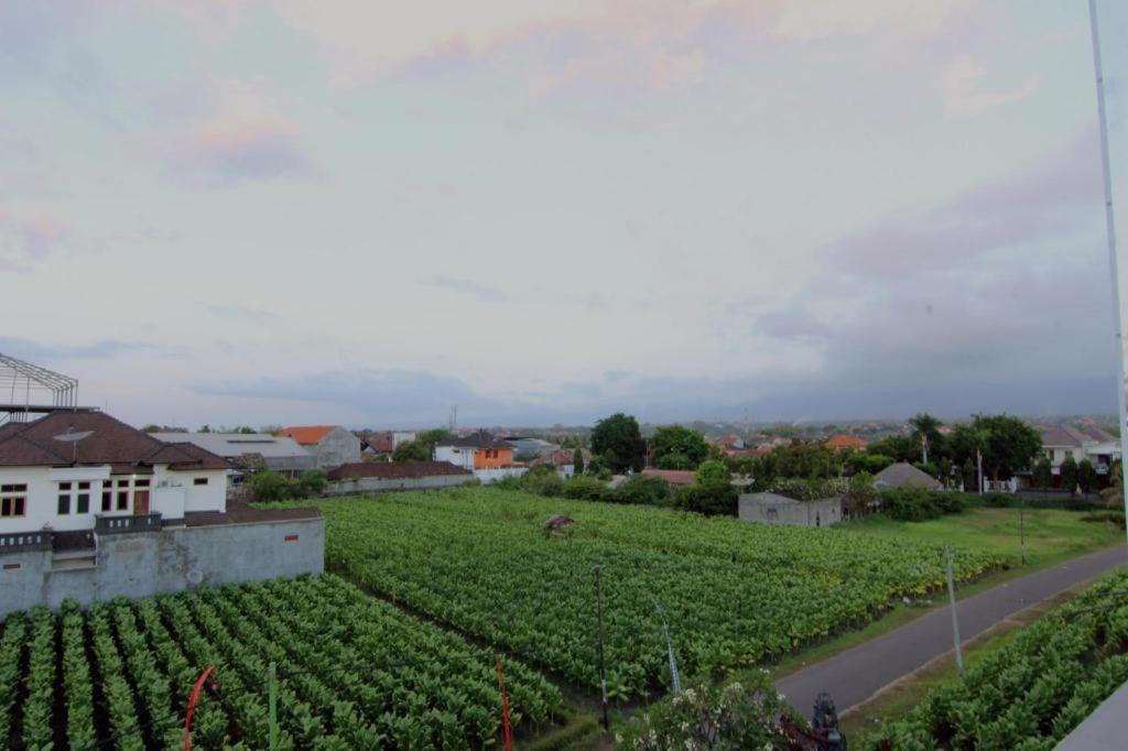 Photo of Others in Banyuasri