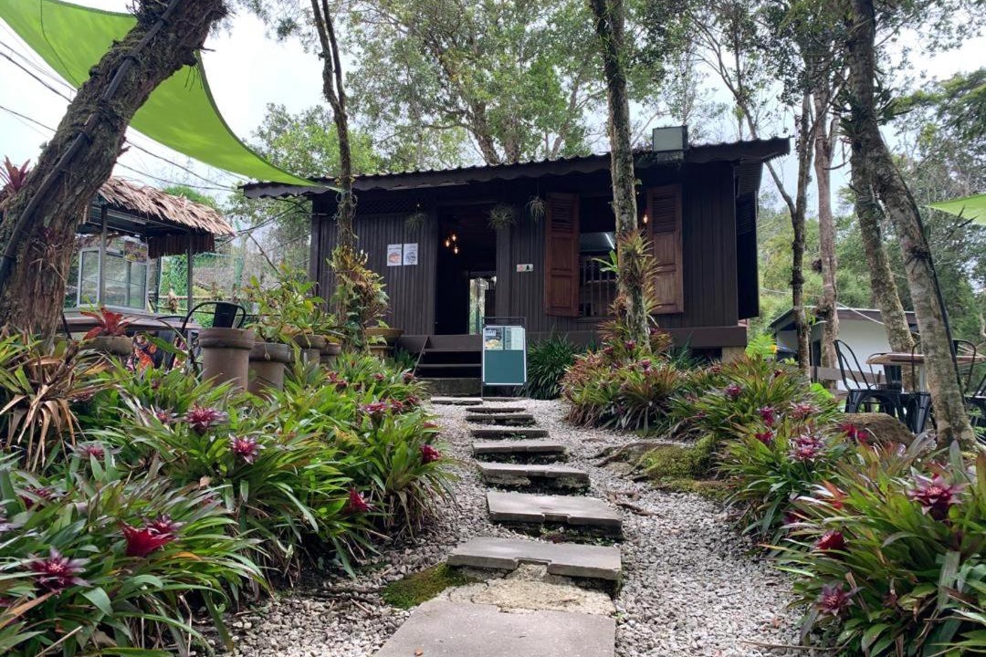 Photo of Others in Gurun