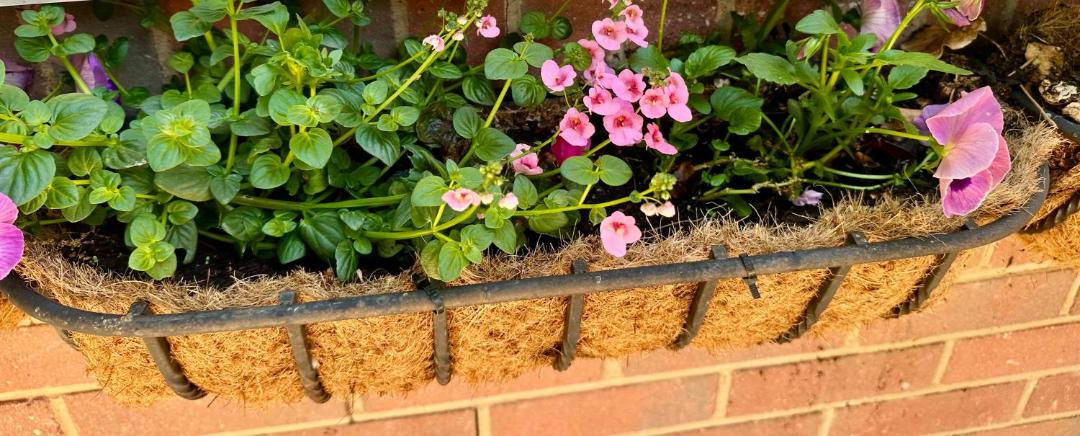 Photo of Others in Wimborne