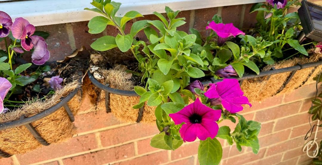 Photo of Others in Wimborne