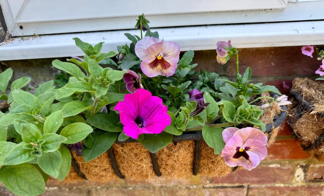 Photo of Others in Wimborne