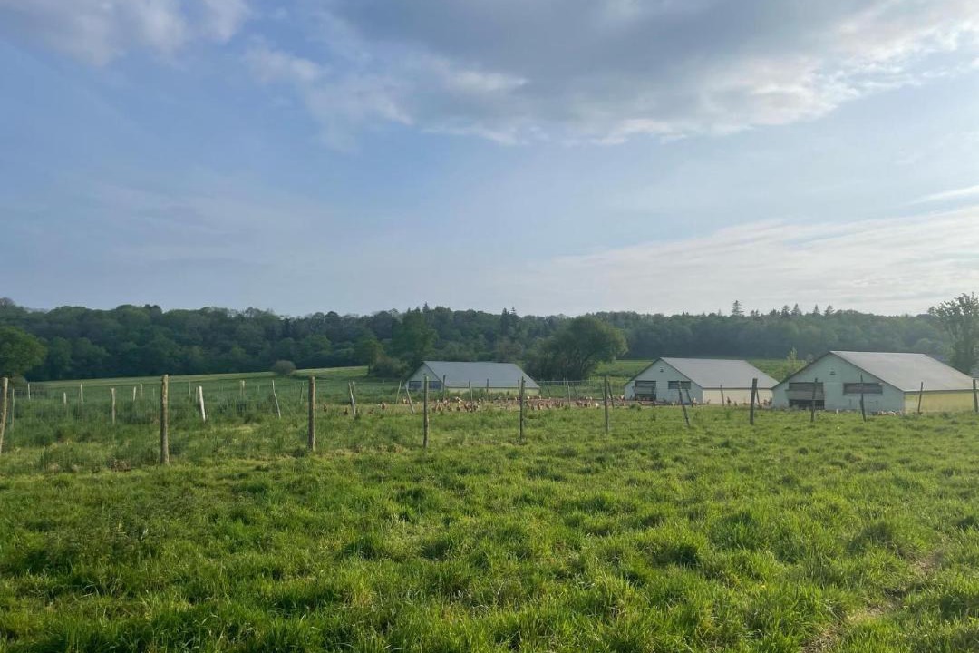 Photo of Others in Pont-Scorff