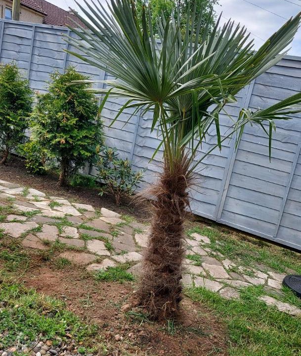 Photo of Outdoor in Hamilton