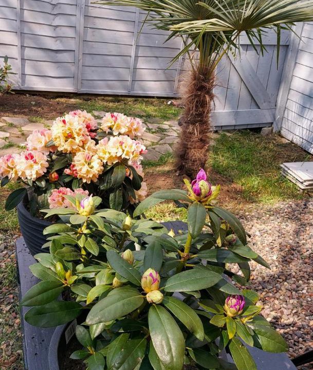 Photo of Outdoor in Hamilton