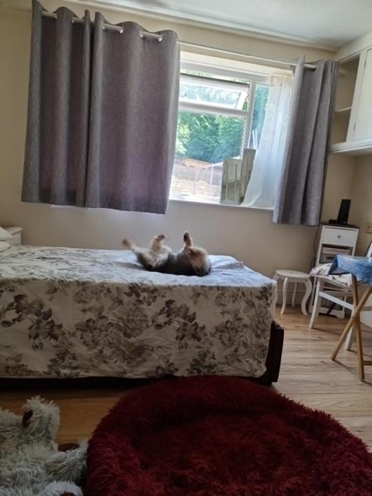 Photo of Bedroom in Luton