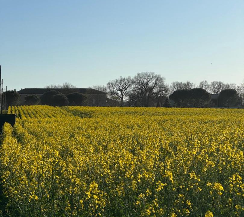 Photo of Others in Revel