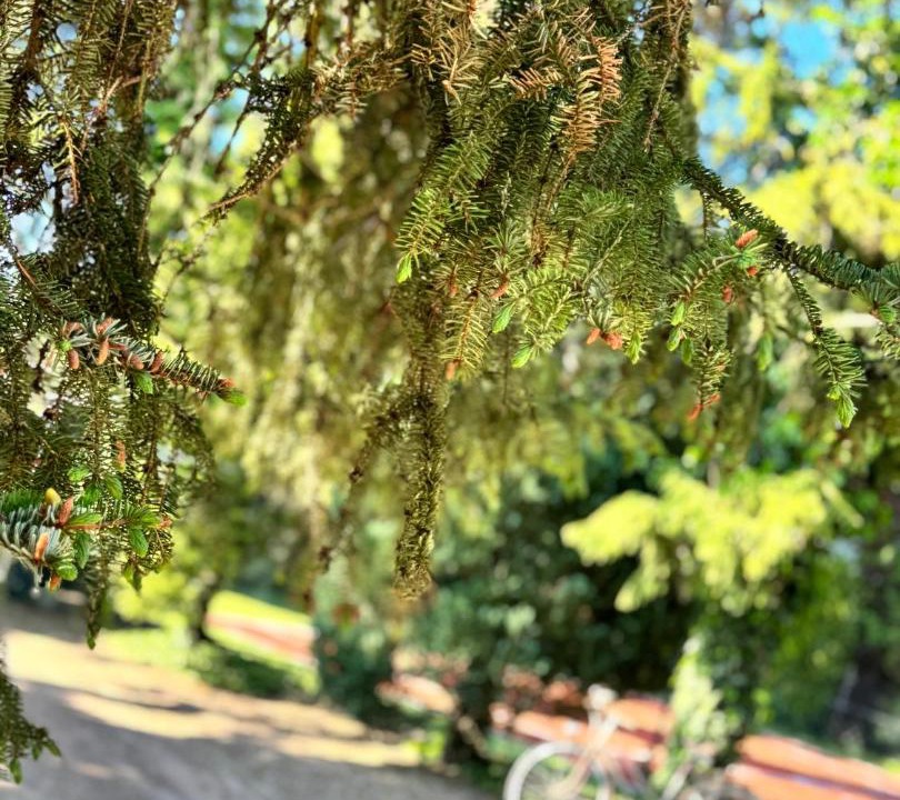 Photo of Others in Merville