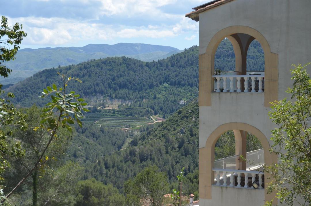 Photo of Others in Oliva