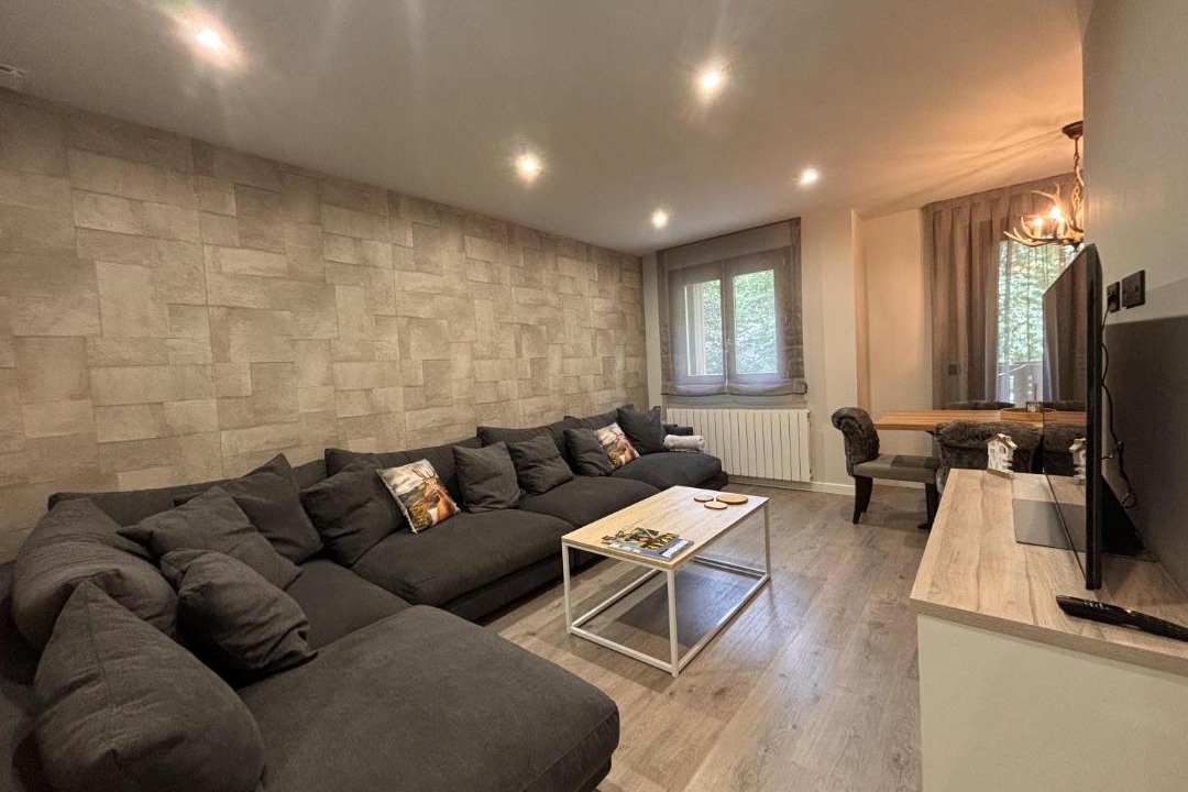 Photo of Livingroom in Benasque