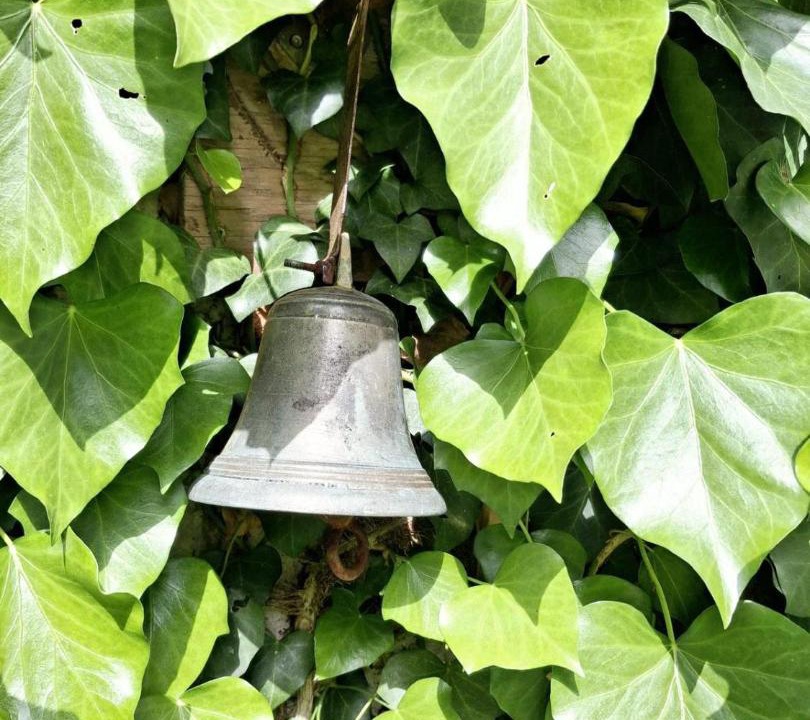 Photo of Outdoor in Aigre