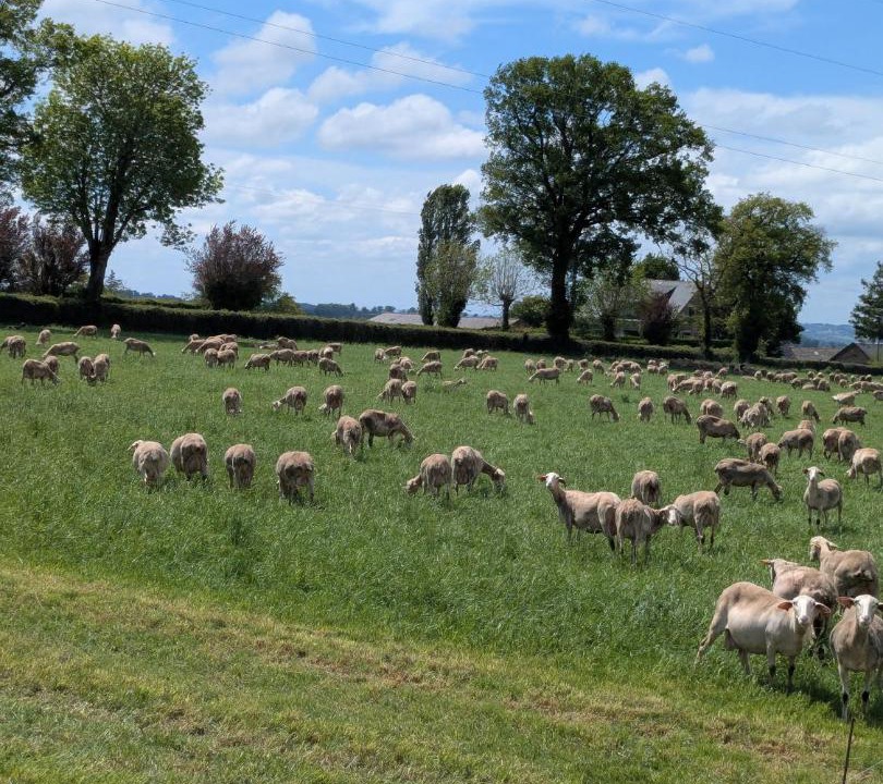 Photo of Others in Comps-la-Grand-Ville