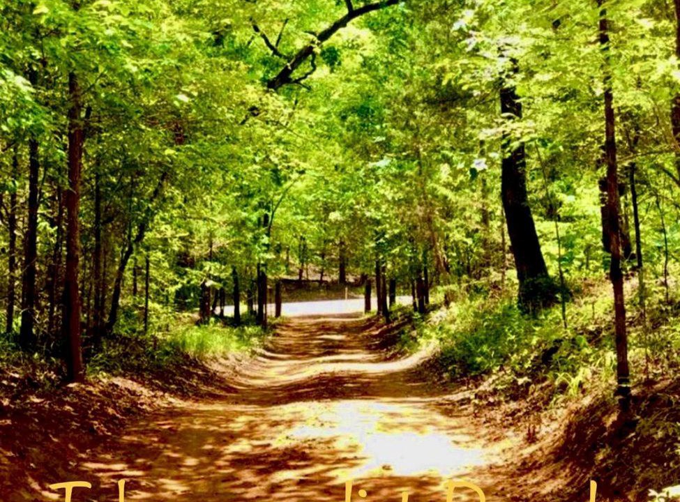 Photo of Outdoor in Van Zandt County