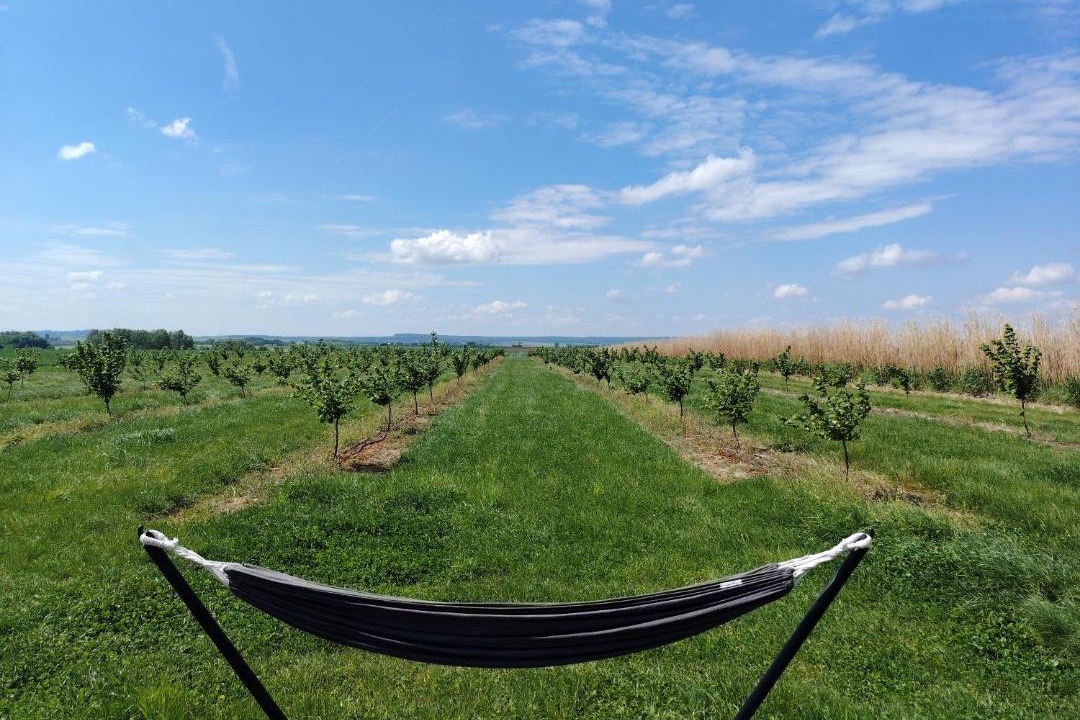 Photo of Others in Bregy