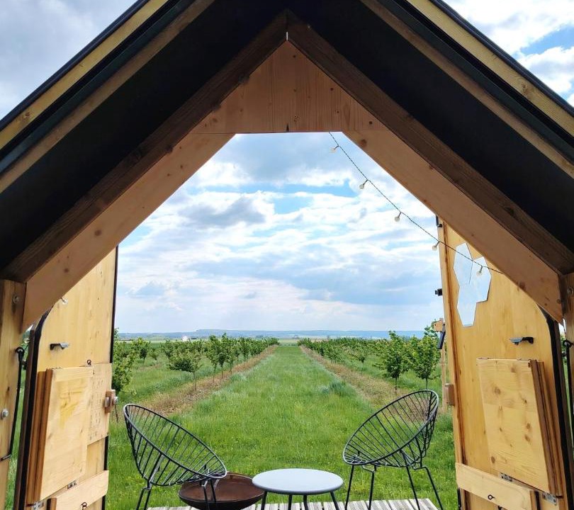 Photo of Others in Bregy