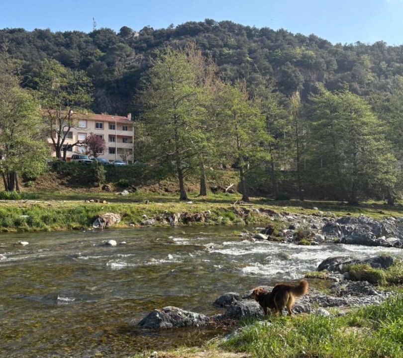 Photo of Others in Amelie-les-Bains-Palalda