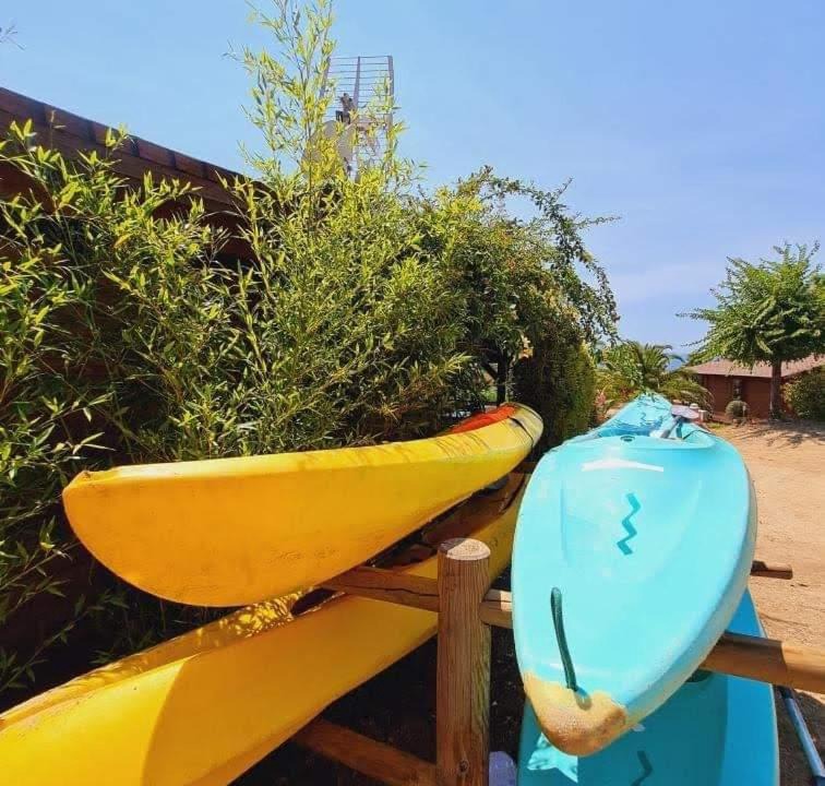 Photo of Others in Porto Pollo