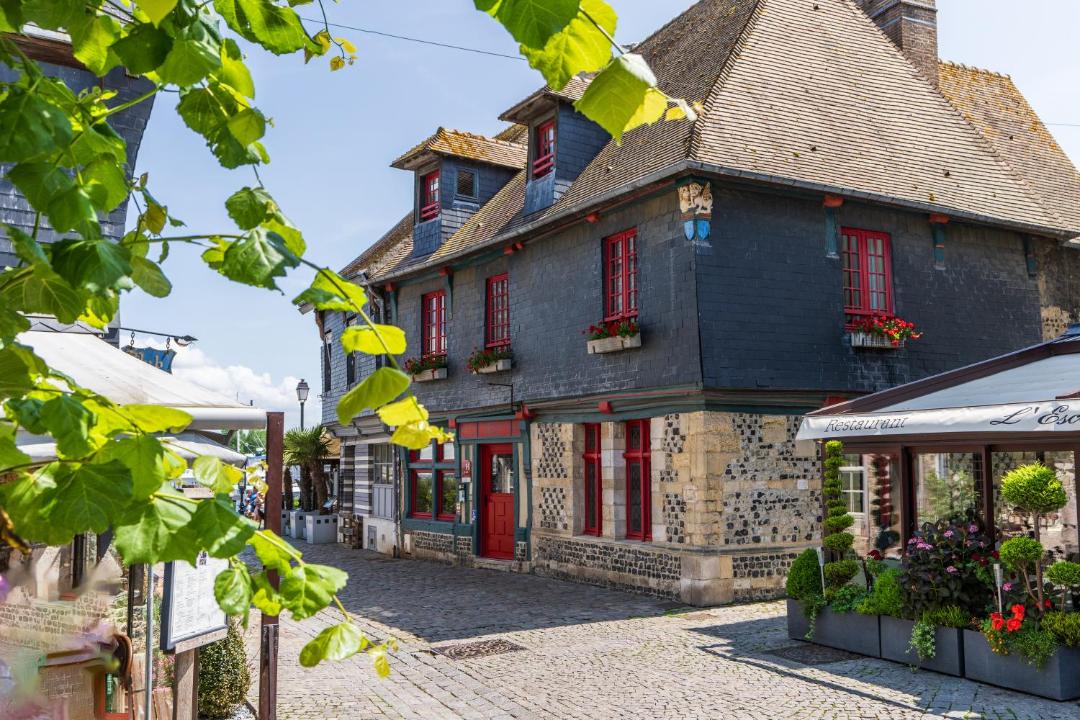 Photo of Others in Enclos