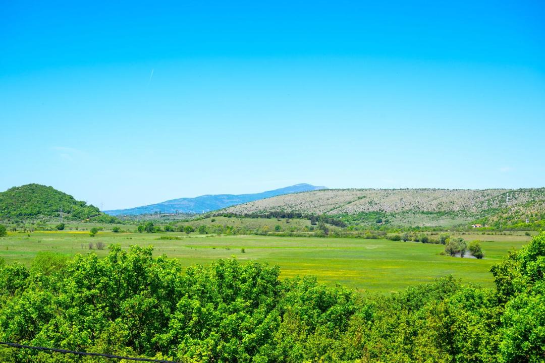 Photo of Others in Cavoglave