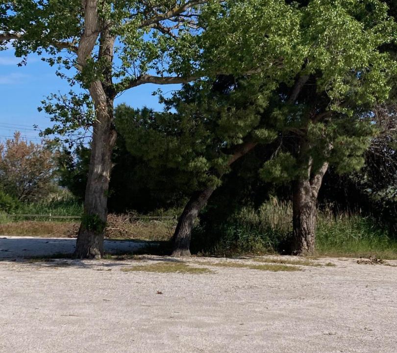 Photo of Others in Fitou
