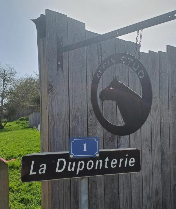 Photo of Others in Montreuil-le-Henri