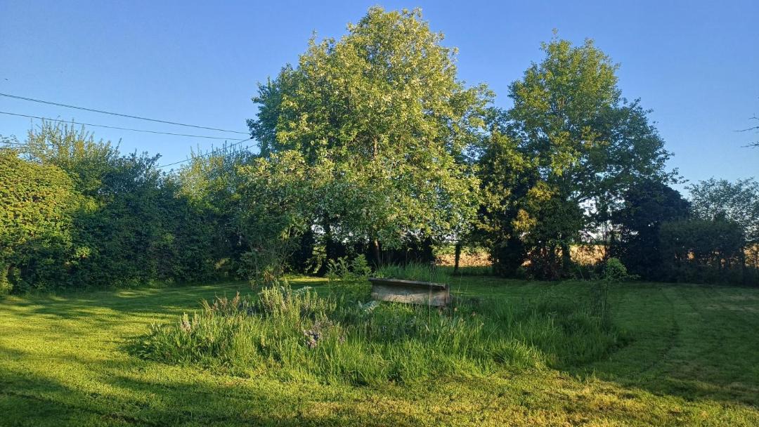 Photo of Others in Montreuil-le-Henri