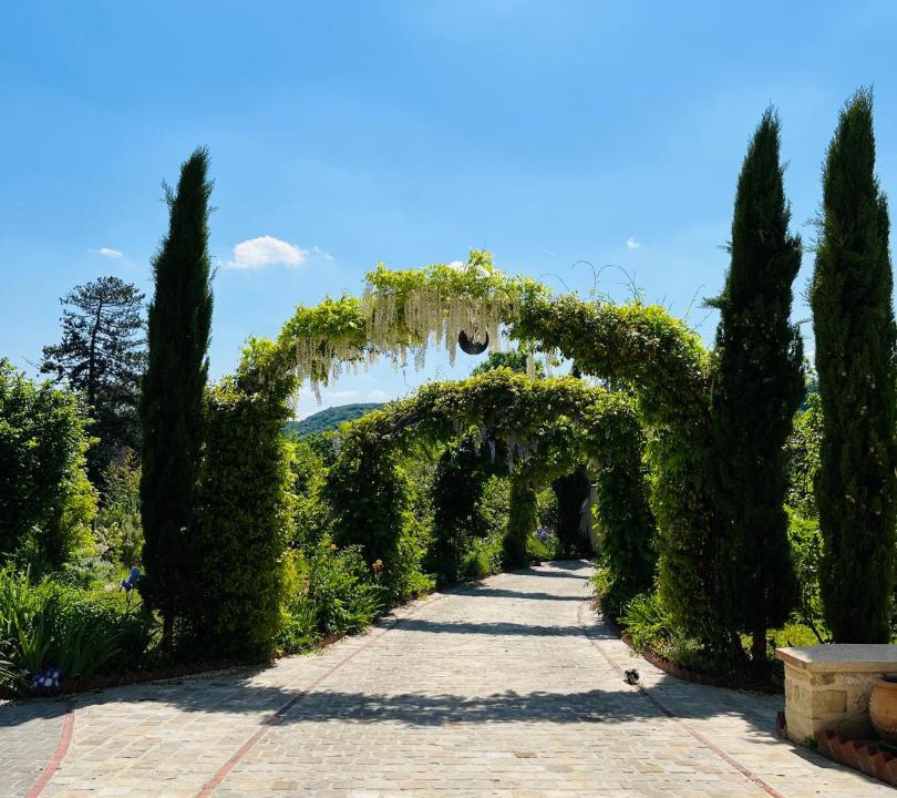 Photo of Others in Giverny