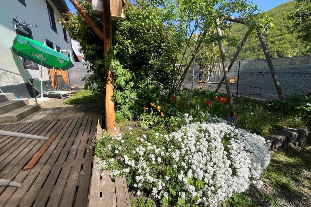 Photo of Others in Malmerspach