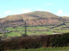 Photo of Others in Halfway House