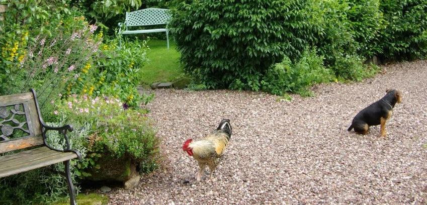 Photo of Others in Halfway House