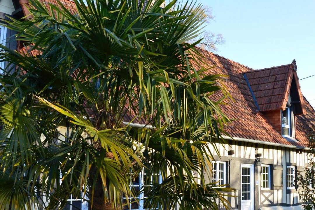 Photo of Others in Ouville-la-Riviere