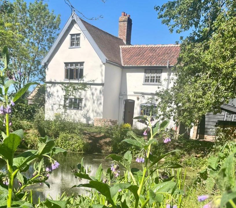 Photo of Others in Eye