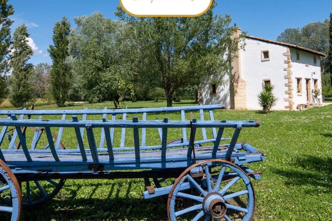 Photo of Others in Saint-Gilles