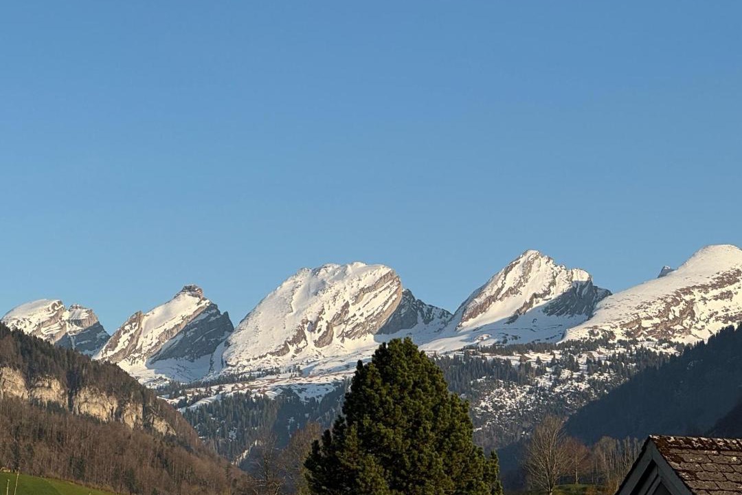 Photo of Others in Neu St Johann