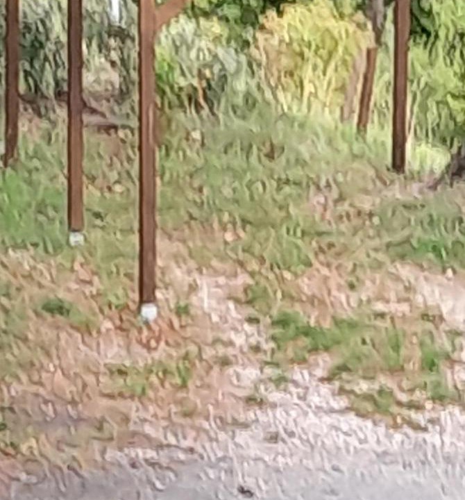 Photo of Others in Sahune