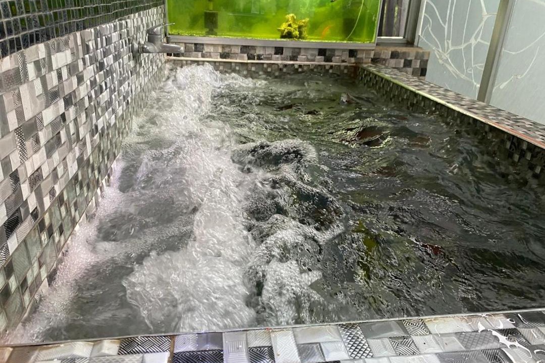 Photo of Bathroom in Yamasa